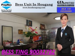 Blk 116 Hougang Avenue 1 (Hougang), HDB 3 Rooms #158342402